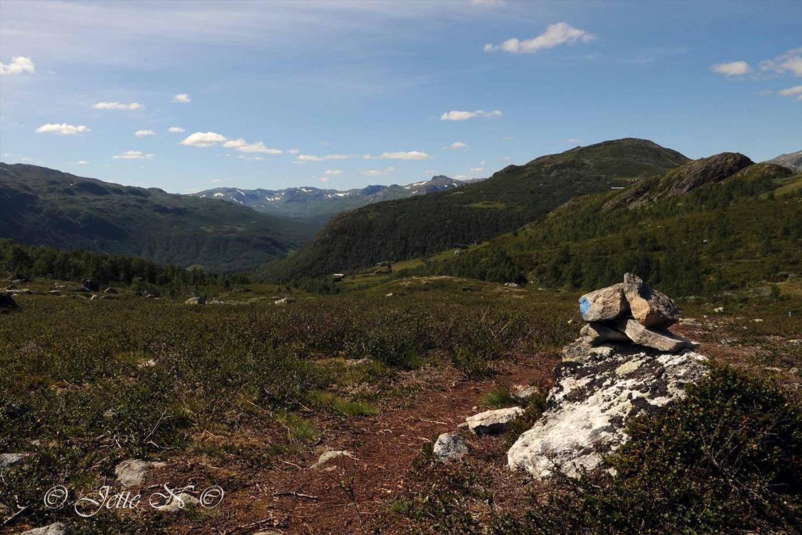 Billeder fra Norge 2011 - Fra vores vandretur til toppen af Kvitingatn (Nikon D300s med 17-55 mm f/2,8 objektiv) billede 33