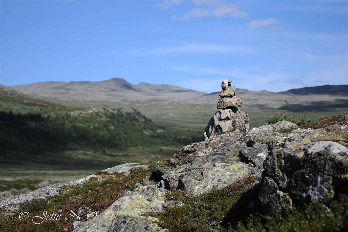 Billeder fra Norge 2011 - Fra vores vandretur til toppen af Kvitingatn (Nikon D300s med 17-55 mm f/2,8 objektiv) billede 34
