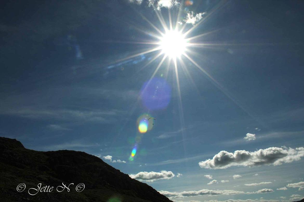 Billeder fra Norge 2011 - Fra vores vandretur til toppen af Kvitingatn. Vi så en paraglider - Desværre kom der en solplet i vejen :o( (Nikon D300s med 17-55 mm f/2,8 objektiv) billede 36