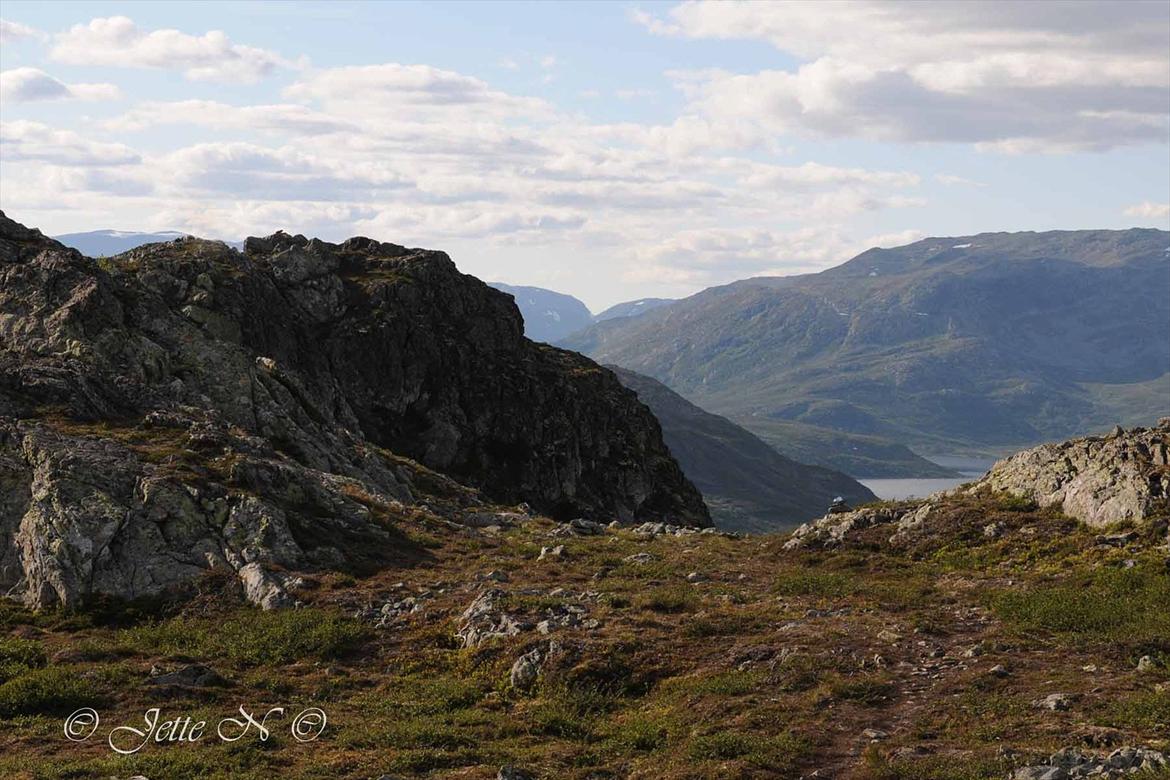 Billeder fra Norge 2011 - På vej ned fra Kvitingatn (Nikon D300s med 17-55 mm f/2,8 objektiv) billede 41