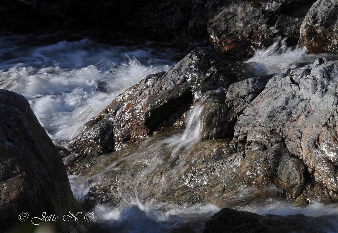 Billeder fra Norge 2011 - Elven fra tidligere (Nikon D300s med 17-55 mm f/2,8 objektiv) billede 42