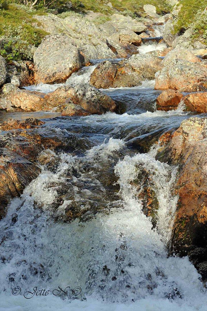 Billeder fra Norge 2011 - Elven fra tidligere (Nikon D300s med 17-55 mm f/2,8 objektiv) billede 44