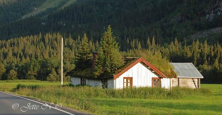 Billeder fra Norge 2011 - Huset ved vejen :o) (Nikon D40 med 18-55 mm II f/3,5-5,6 objektiv) billede 46