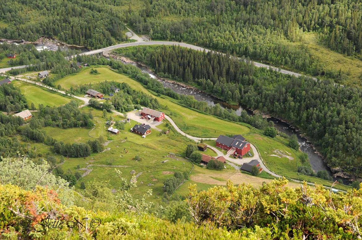 Billeder fra Norge 2011 - Et kig til gårdene neden for Venåshøvda (Nikon D300s med 17-55 mm f/2,8 objektiv) billede 52