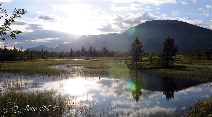 Billeder fra Norge 2011 - Udsigt til Skogshorn fra Panoramavejen. Skogshorn er Hemsedals kendteste fjeldtop og panoramavejen lever op til sit navn med den flotte udsigt til Skogshorn. (Nikon D300s med 17-55 mm f/2,8 objektiv) billede 61