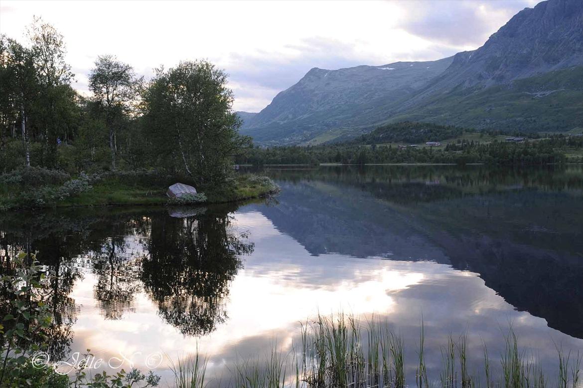 Billeder fra Norge 2011 - En rigtig smuk udsigt at fiske til (Nikon D300s med 17-55 mm f/2,8 objektiv) billede 62