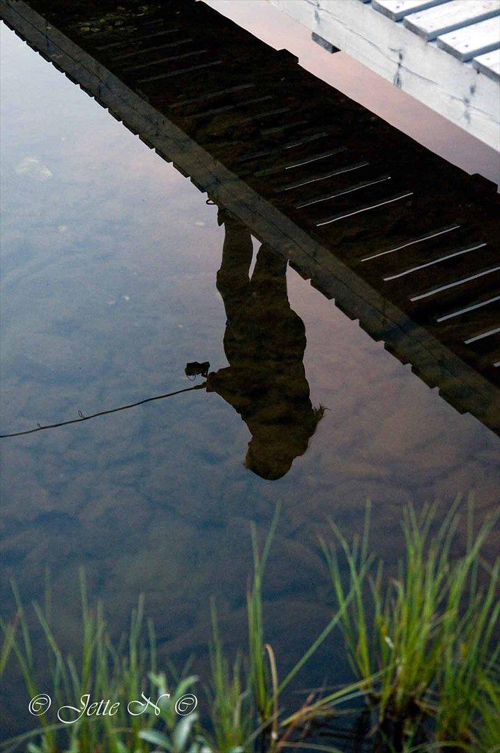 Billeder fra Norge 2011 - Et utraditionelt billede ;o) (Nikon D300s med 17-55 mm f/2,8 objektiv) billede 64