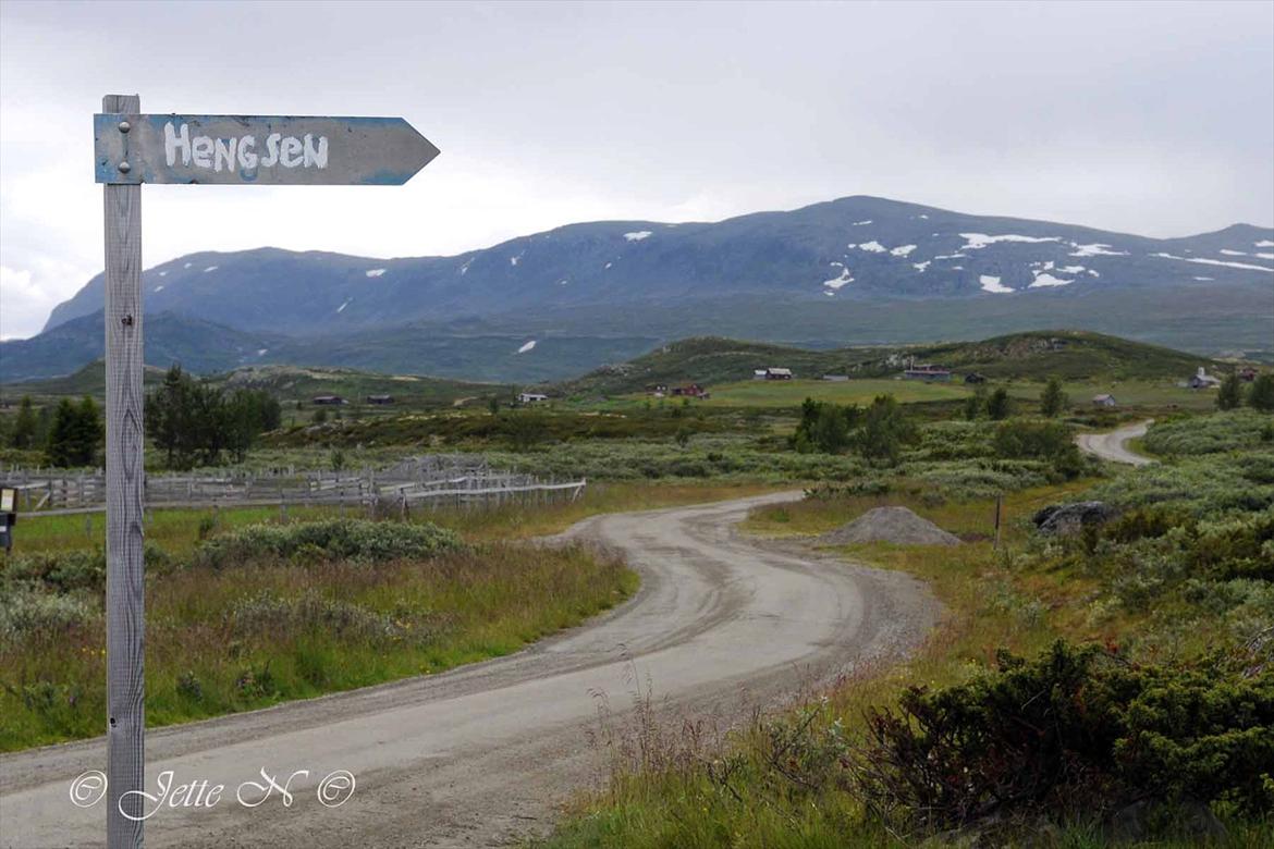 Billeder fra Norge 2011 - Fra fjeldvejen mellem Ål og Hemsedal (Nikon D300s med 17-55 mm f/2,8 objektiv) billede 68