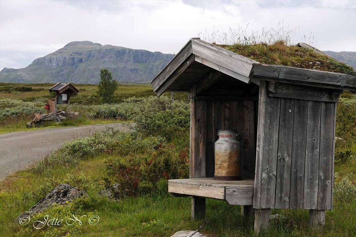 Billeder fra Norge 2011 - Fra fjeldvejen mellem Ål og Hemsedal (Nikon D300s med 17-55 mm f/2,8 objektiv) billede 69