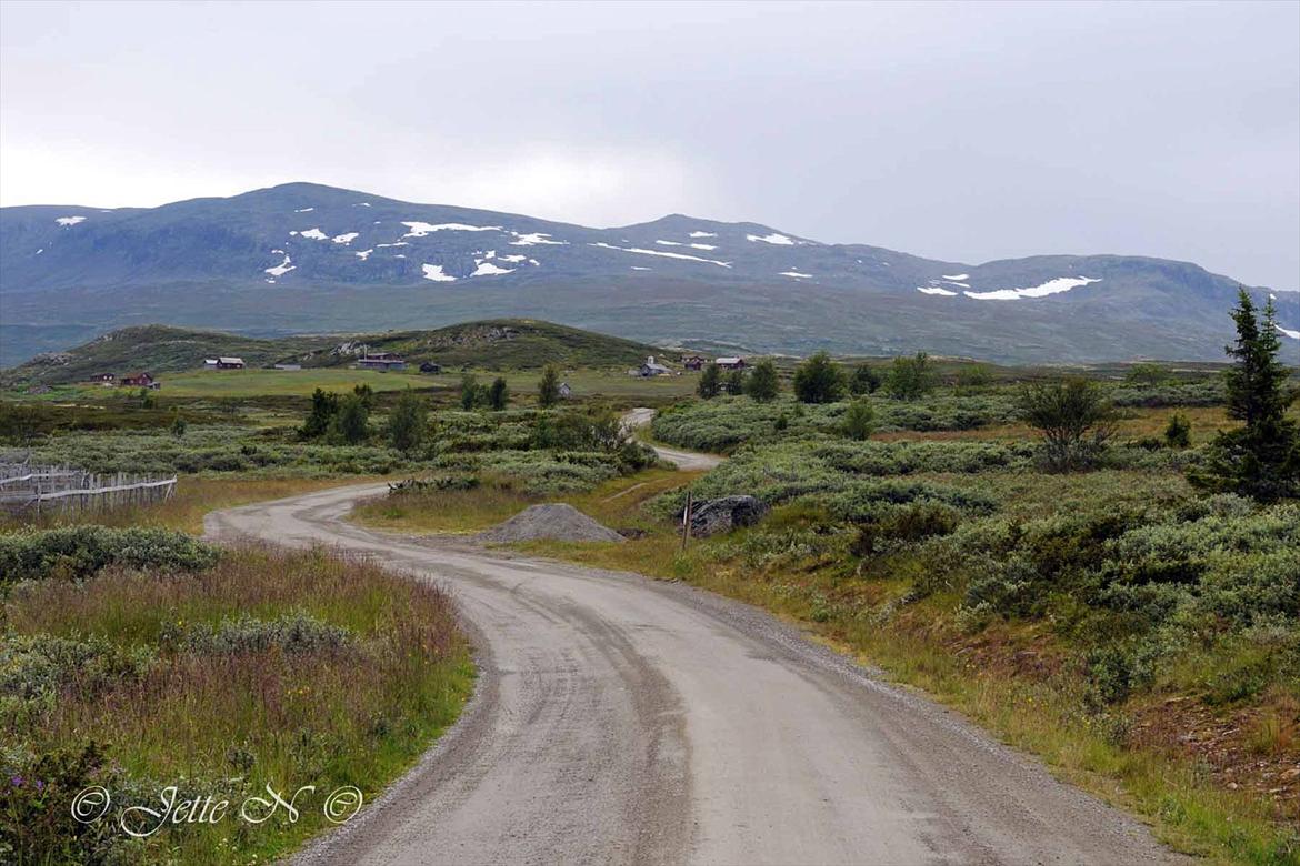 Billeder fra Norge 2011 - Fra fjeldvejen mellem Ål og Hemsedal (Nikon D300s med 17-55 mm f/2,8 objektiv) billede 70