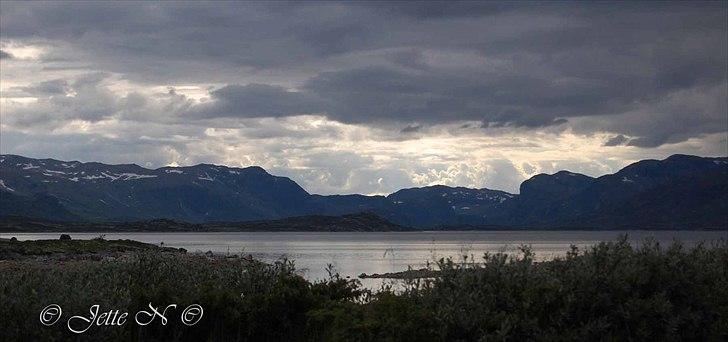 Billeder fra Norge 2011 - Fra fjeldvejen mellem Ål og Hemsedal (Nikon D40 med 18-55 mm II f/3,5-5,6 objektiv) billede 73