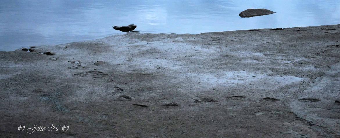Billeder fra Norge 2011 - Fodspor i sandet (Ved Eikredammen) (Nikon D300s med 17-55 mm f/2,8 objektiv) billede 78