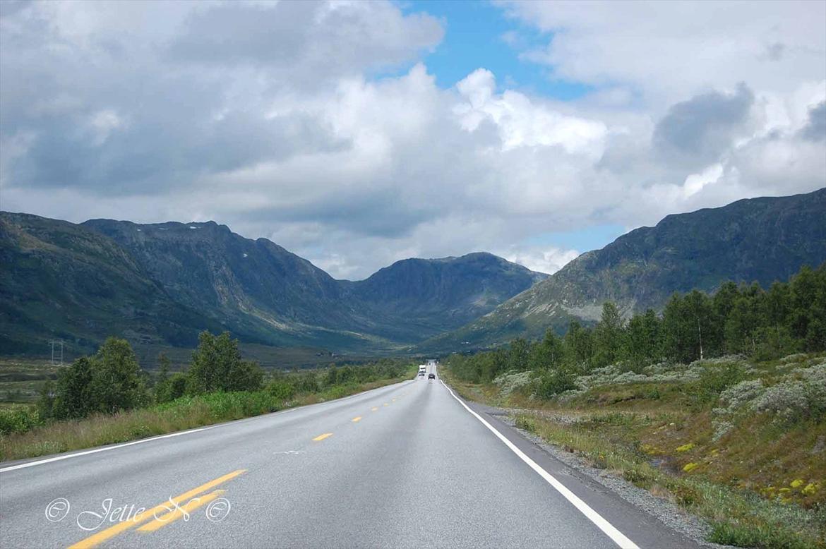 Billeder fra Norge 2011 - Store vidder - På vej over Hemsedalsfjeldet (Nikon D40 med 18-55 mm II f/3,5-5,6 objektiv) billede 80