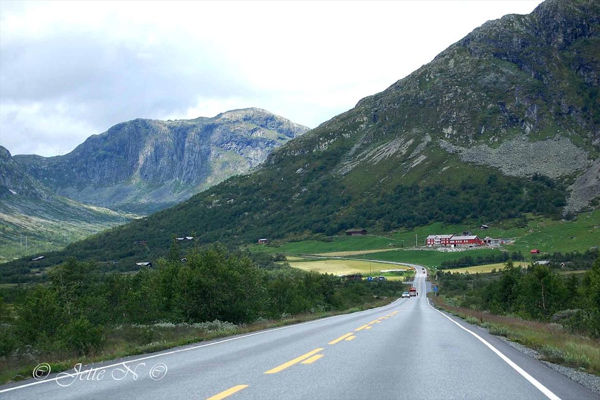 Billeder fra Norge 2011 - På vej over Hemsedalsfjeldet (Nikon D40 med 18-55 mm II f/3,5-5,6 objektiv) billede 81