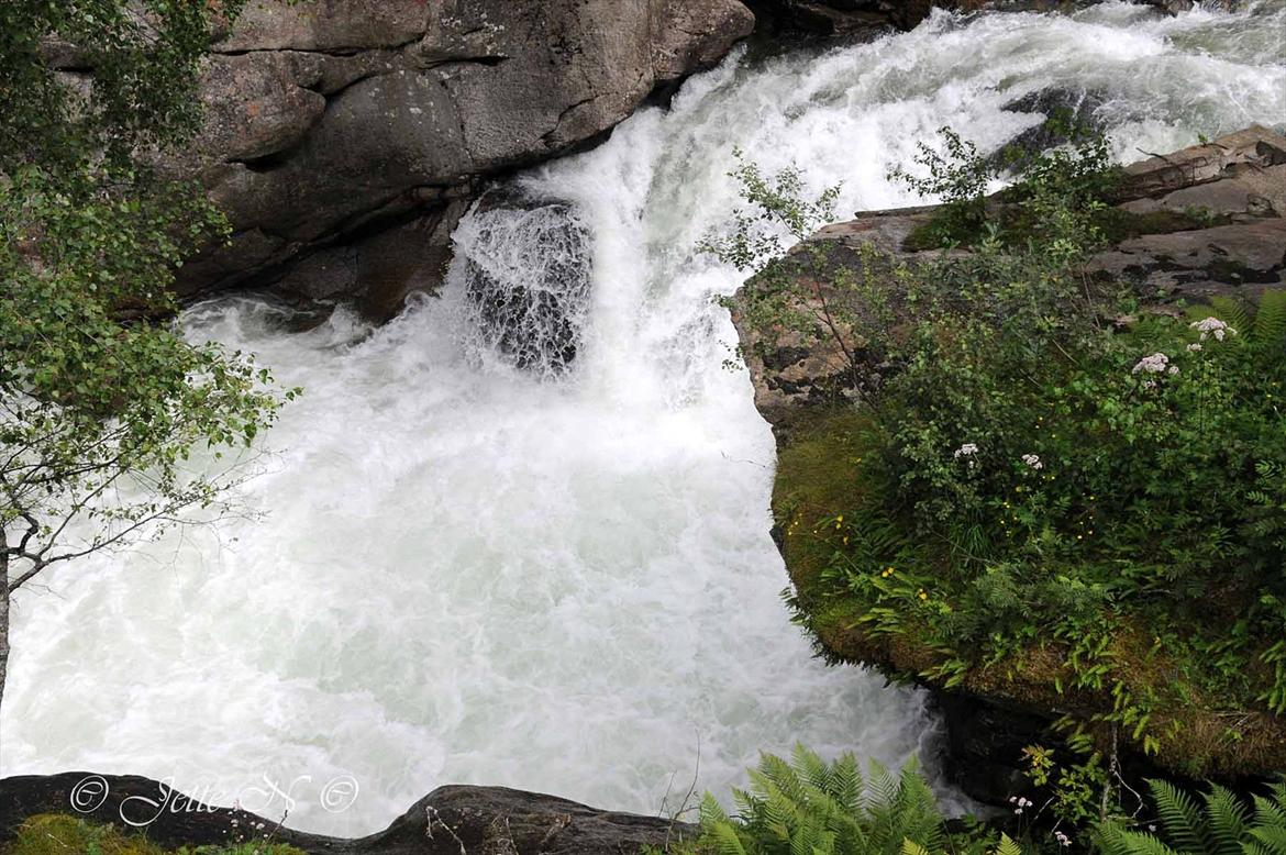 Billeder fra Norge 2011 - Fos nær Galdane i Lærdalen (Nikon D300s med 17-55 mm f/2,8 objektiv) billede 83