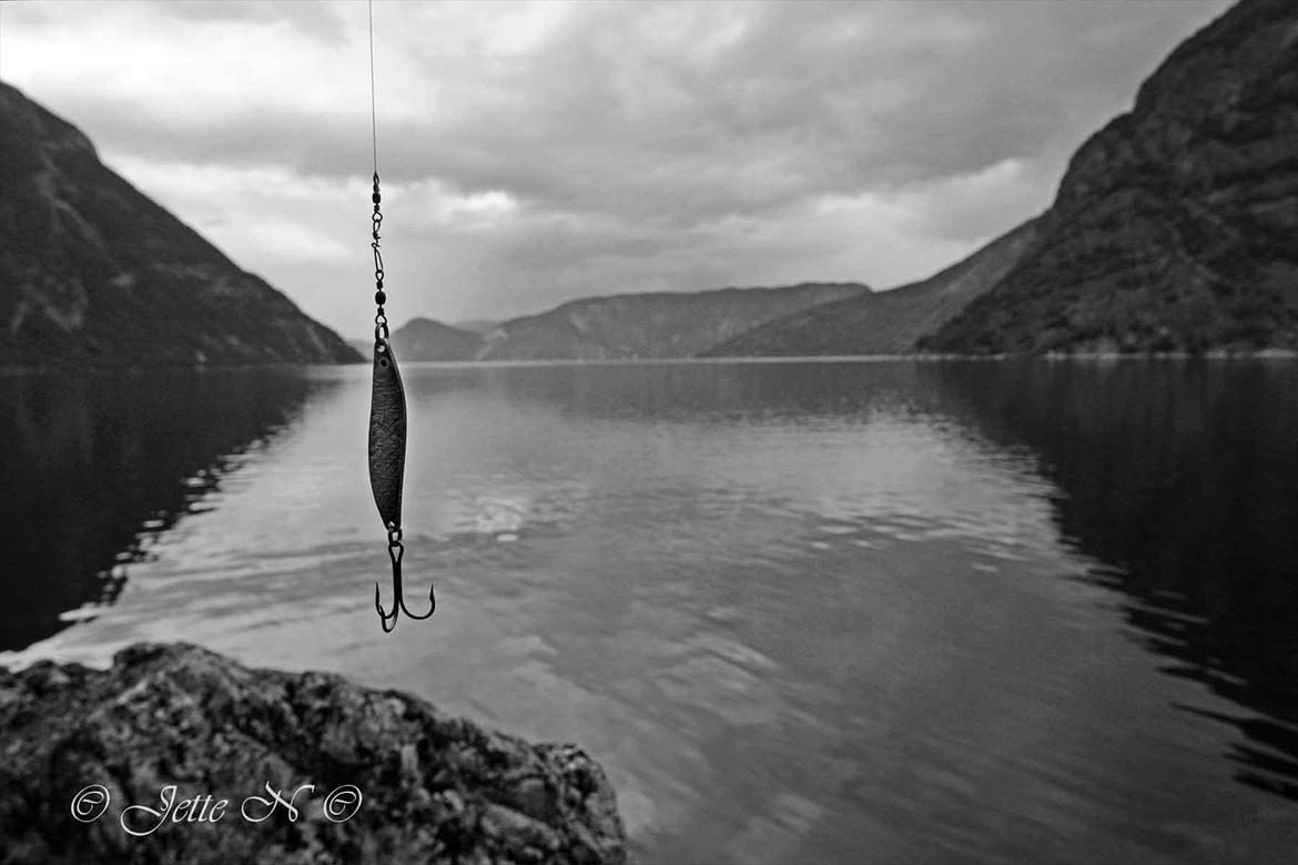 Billeder fra Norge 2011 - Fiskeri i Sognefjorden (Nikon D300s med 17-55 mm f/2,8 objektiv) billede 88