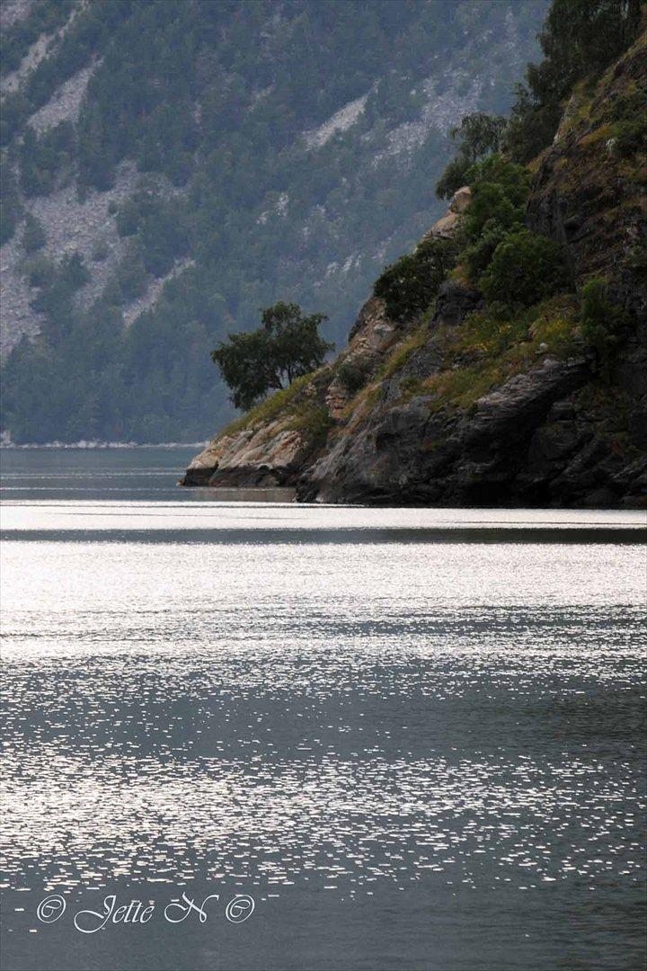 Billeder fra Norge 2011 - Sognefjorden ved Årdalstangen (Nikon D300s med 17-55 mm f/2,8 objektiv) billede 89