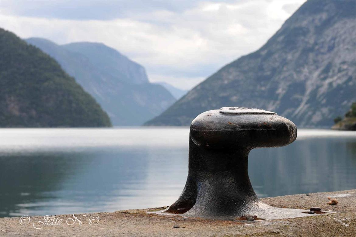 Billeder fra Norge 2011 - Sognefjorden set fra havnen i Årdalstangen (Nikon D300s med 17-55 mm f/2,8 objektiv) billede 90