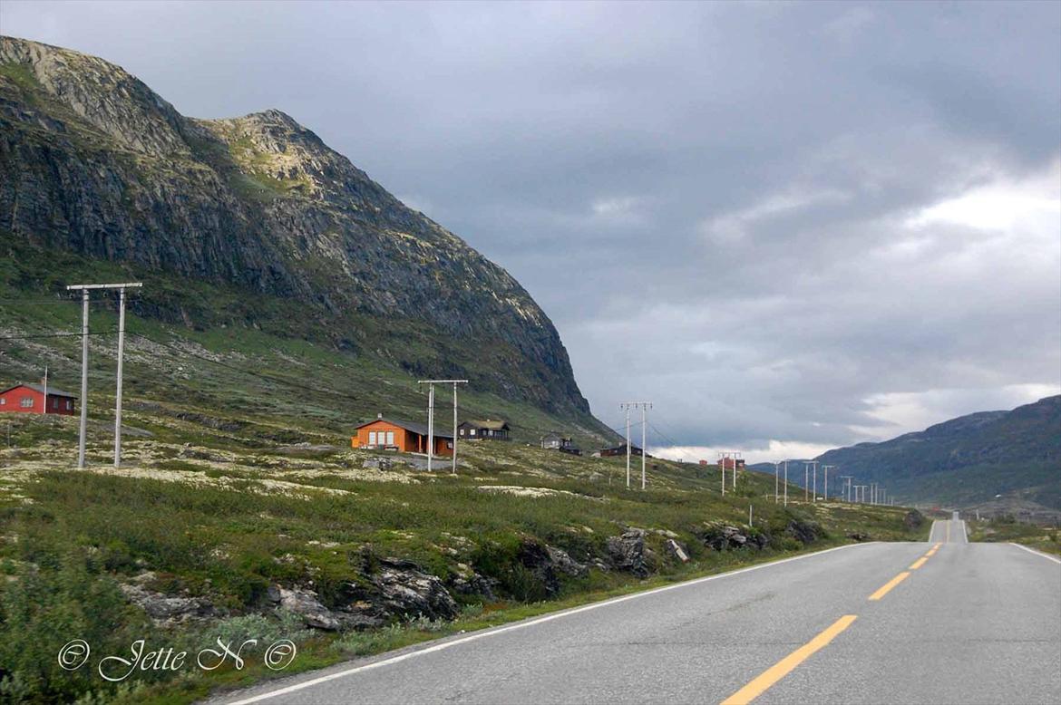 Billeder fra Norge 2011 - På vej over fjeldet til Tyinsøen (Nikon D40 med 18-55 mm II f/3,5-5,6 objektiv) billede 95