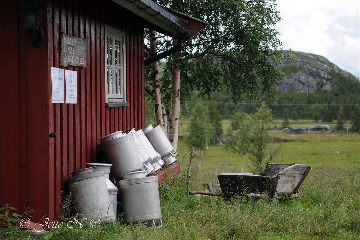 Billeder fra Norge 2011 - Idyl på Ulsåkstølen (støl = gård) (Nikon D300s med 17-55 mm f/2,8 objektiv) billede 103