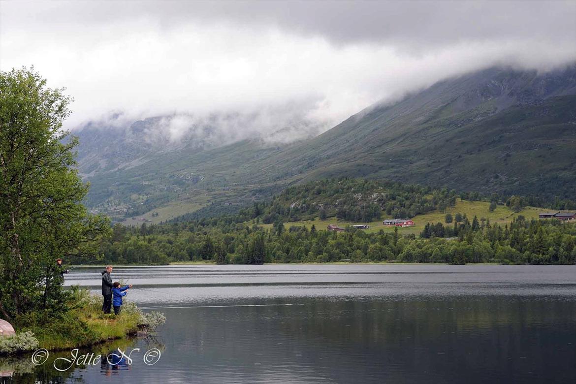 Billeder fra Norge 2011 - "Vores" fiskesø - igen... (Nikon D300s med 17-55 mm f/2,8 objektiv) billede 112