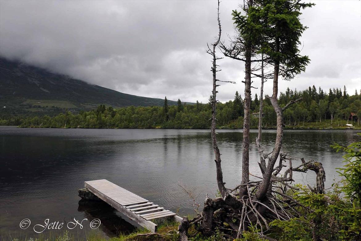 Billeder fra Norge 2011 - "Vores" fiskesø - igen... (Nikon D300s med 17-55 mm f/2,8 objektiv) billede 113