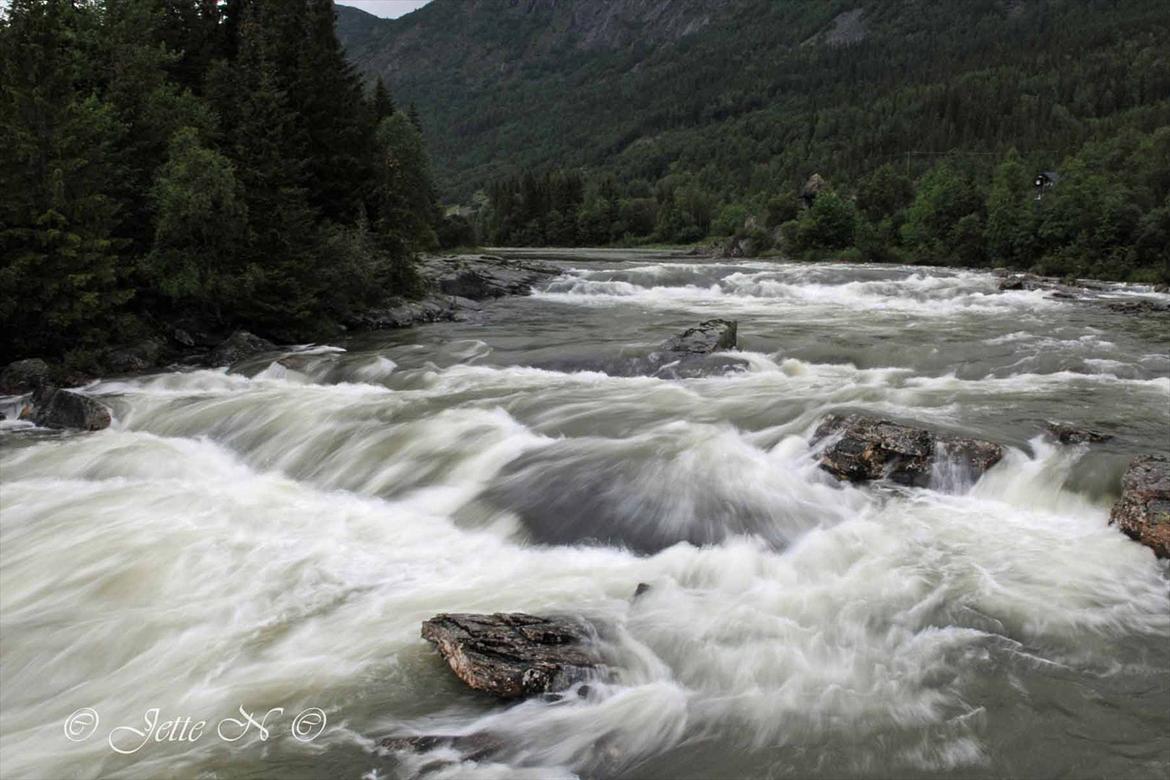 Billeder fra Norge 2011 - Elven nær vores hytte (Nikon D300s med 17-55 mm f/2,8 objektiv) billede 119