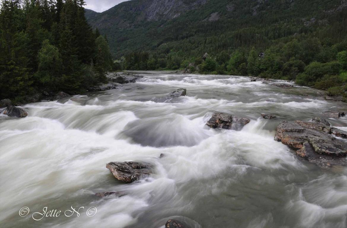 Billeder fra Norge 2011 - Elven nær vores hytte (Nikon D300s med 17-55 mm f/2,8 objektiv) billede 121