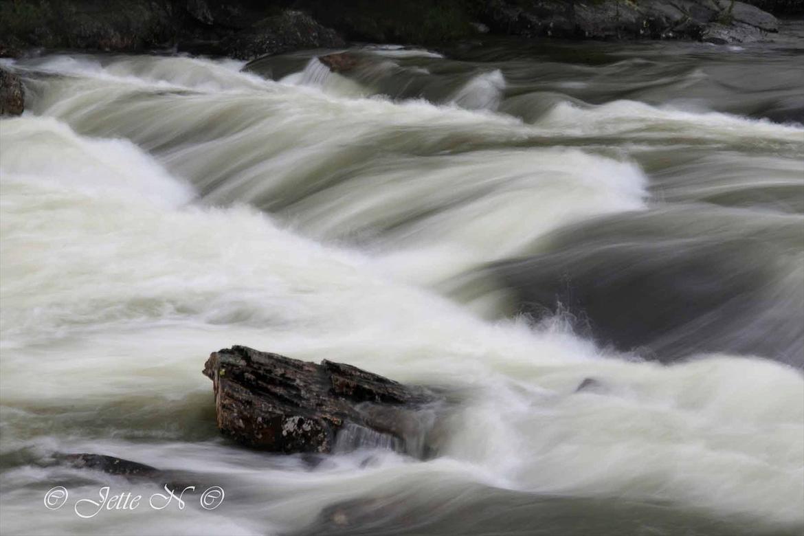 Billeder fra Norge 2011 - Elven nær vores hytte (Nikon D300s med 17-55 mm f/2,8 objektiv) billede 123
