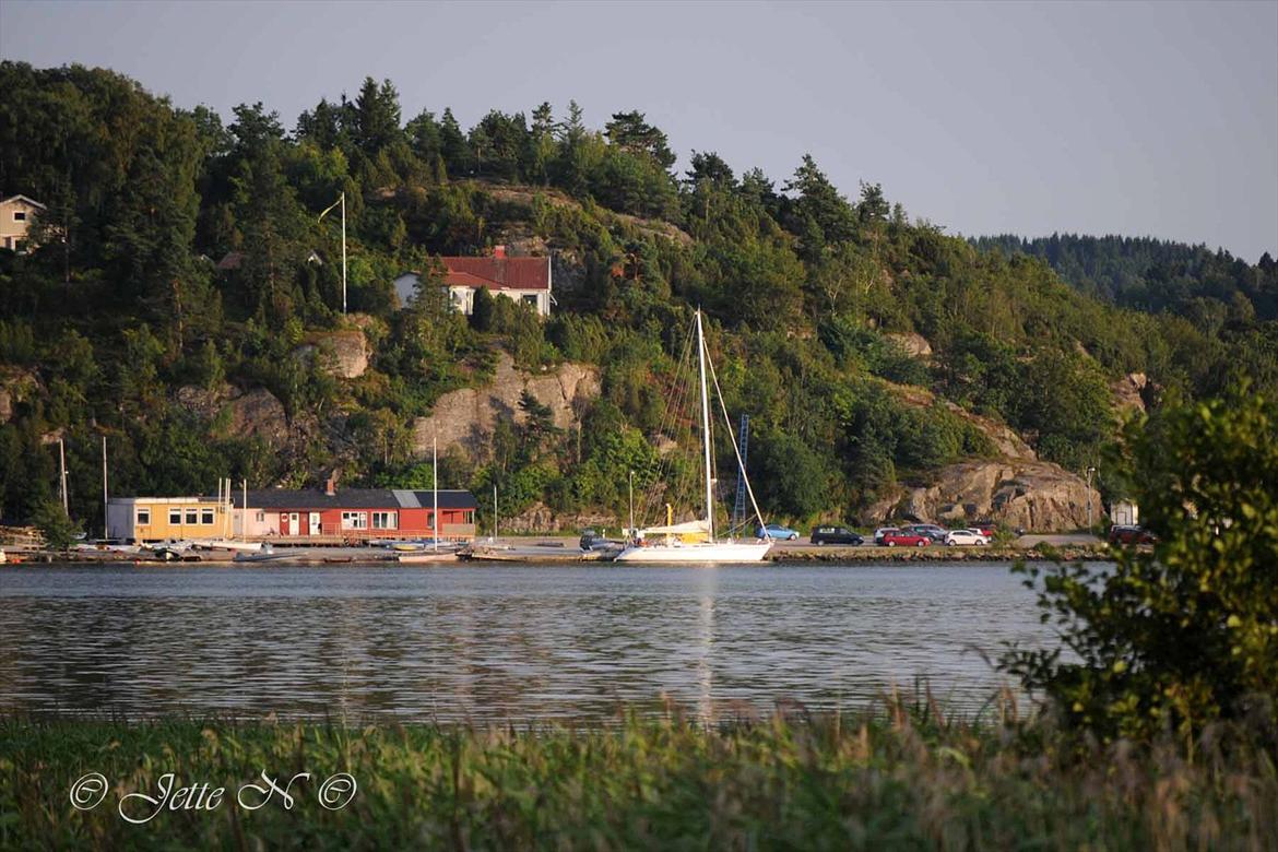 Billeder fra Norge 2011 - Ljungskile i Sverige, hvor vi holdt pause, mens vi nød det smukke aftenlys over fjorden (Nikon D300s med 17-55 mm f/2,8 objektiv) billede 130