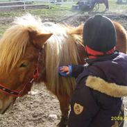 Nanna Strigler Polle