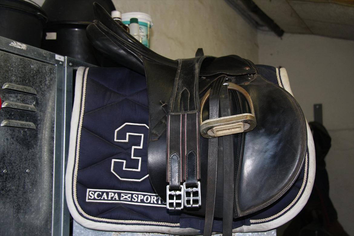 Mit rideudstyr.. - Mit springsadel, og min pladegjord - 17"
+ Mit Scapa sports springunderlag - 17" billede 4