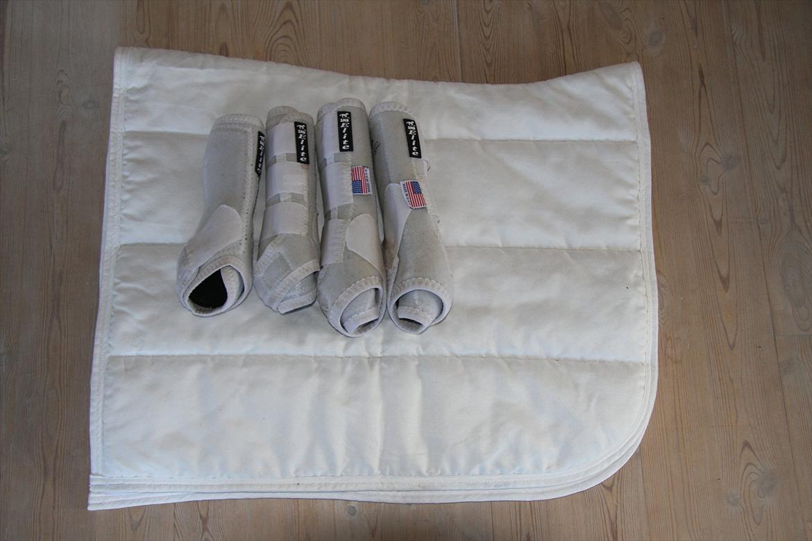 Mit rideudstyr.. - Horseguard alca pad, hvidt - 17"

Prof. Choice gamacher, hvide - Small billede 7