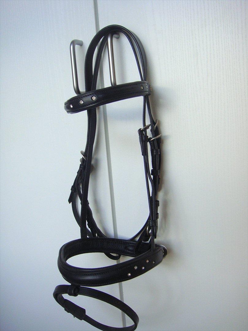 Mit rideudstyr.. - Kieffer Suleika - G-pony billede 16