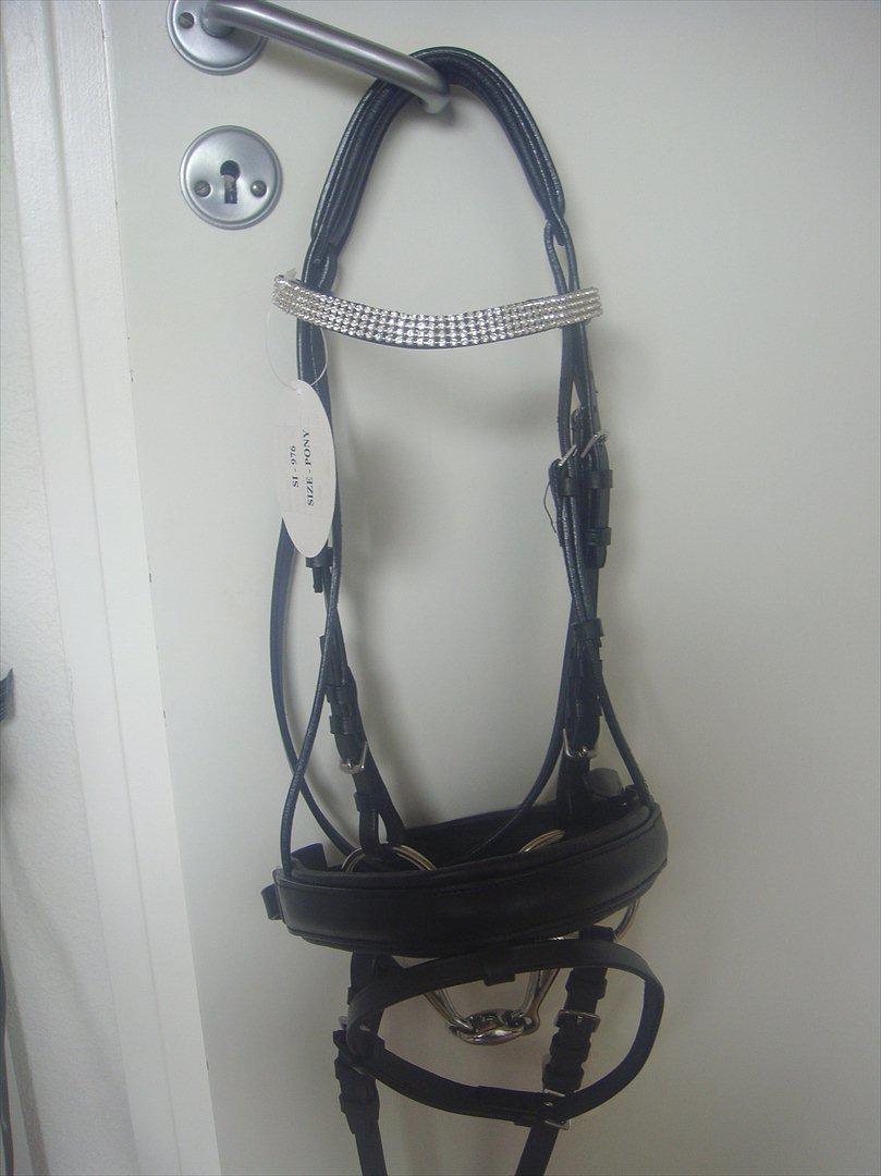 Mit rideudstyr.. - Fed trense fra Herning 2011 - Pony billede 17
