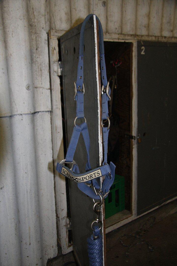 Mit rideudstyr.. - Scapa Sports grime + træktorv - Pony billede 20