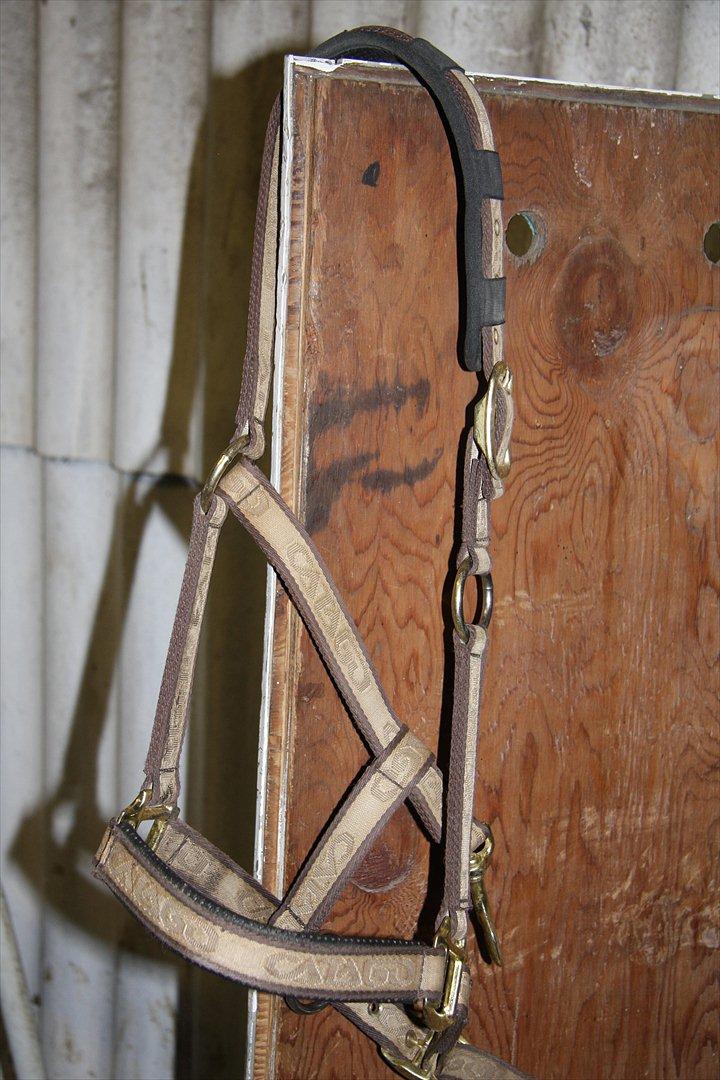 Mit rideudstyr.. - Catago grime, brun - Pony billede 21