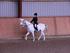 Hundborg Rideklub 03-09-2011