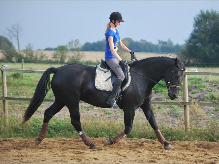 {{currentPhoto.altText}} billede {{currentPhoto.number}}