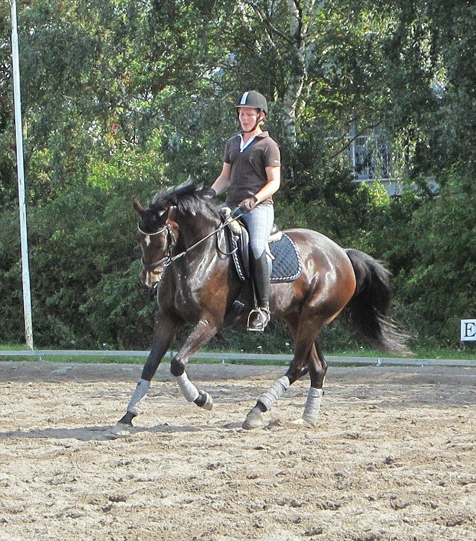 Little Lady, undervisning hos Dennis Holst billede 1