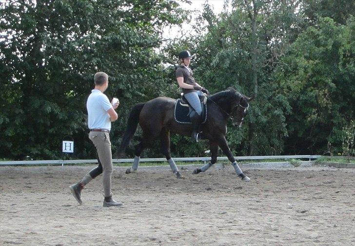 Little Lady, undervisning hos Dennis Holst billede 5