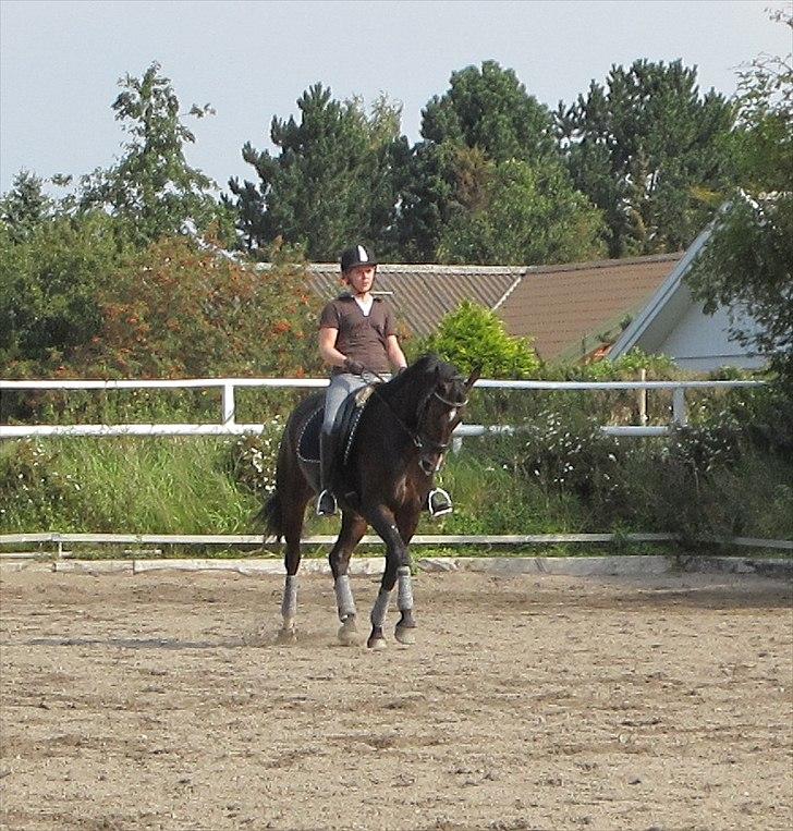 Little Lady, undervisning hos Dennis Holst billede 6