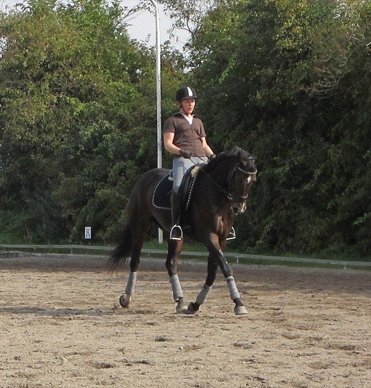 Little Lady, undervisning hos Dennis Holst billede 3