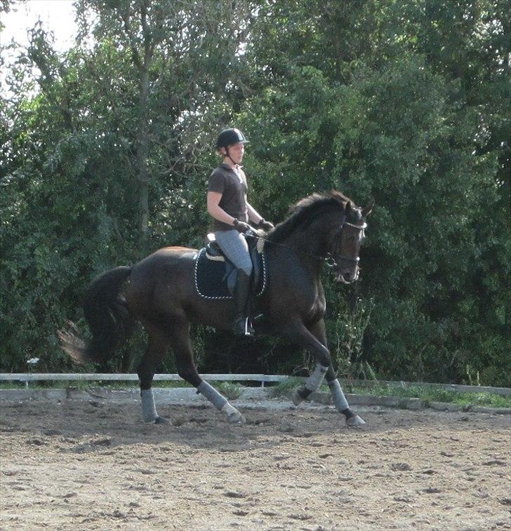 Little Lady, undervisning hos Dennis Holst billede 4