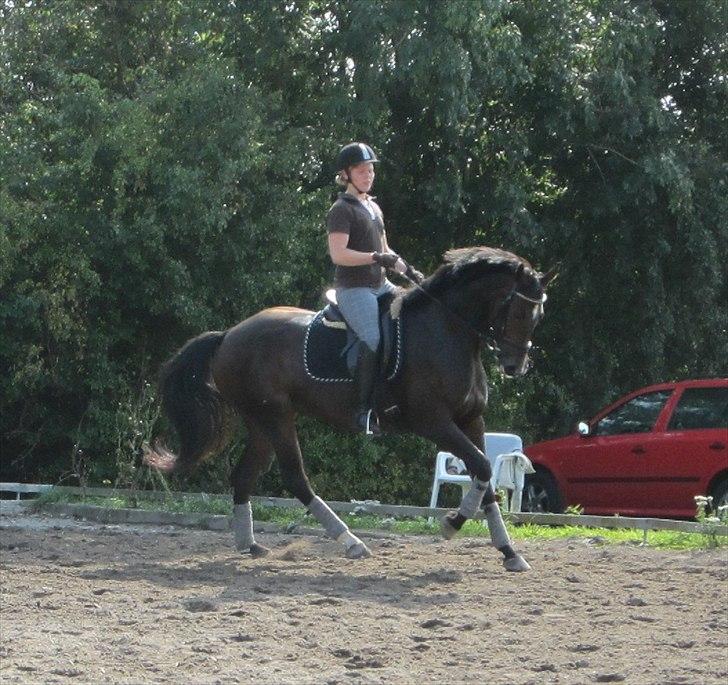 Little Lady, undervisning hos Dennis Holst billede 2