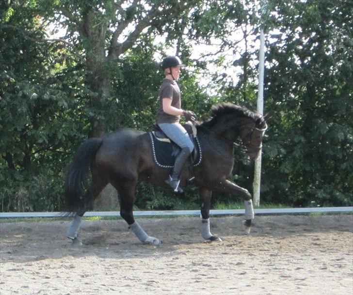 Little Lady, undervisning hos Dennis Holst billede 7