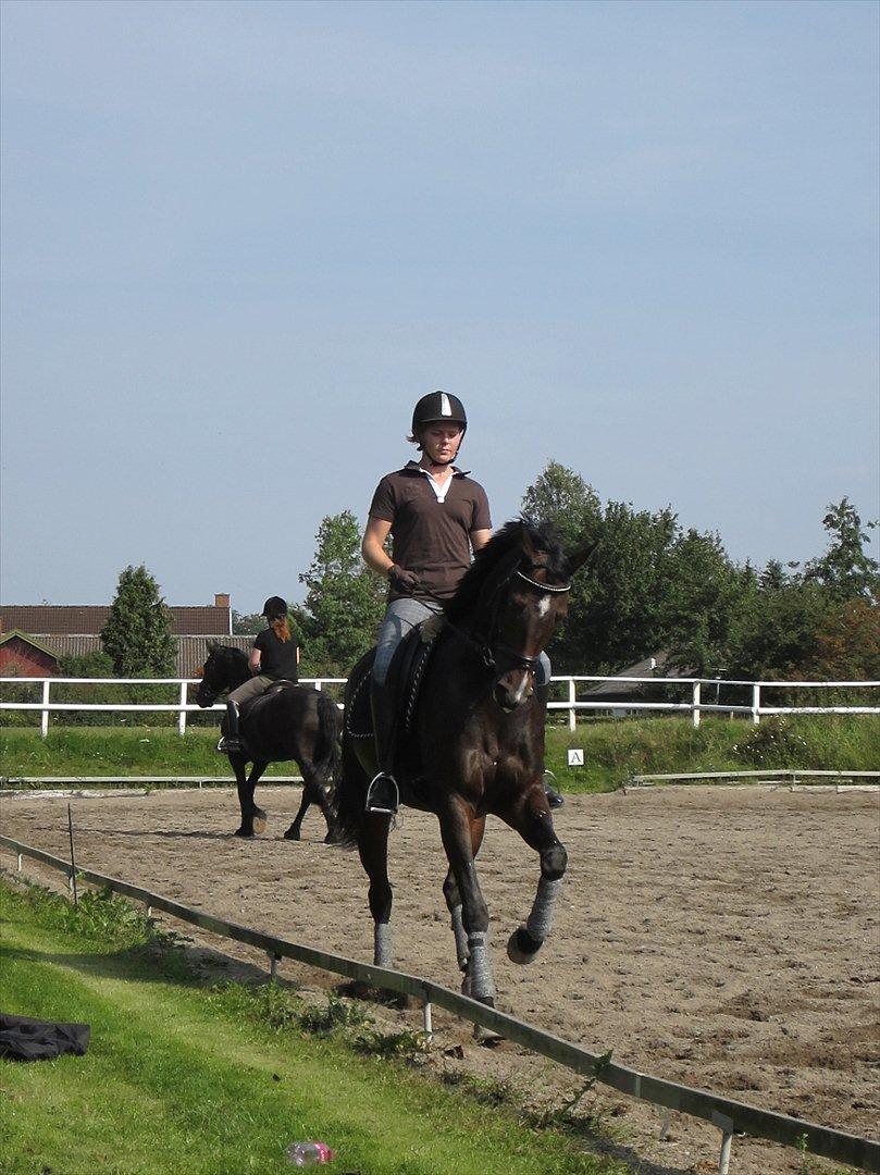 Little Lady, undervisning hos Dennis Holst billede 8