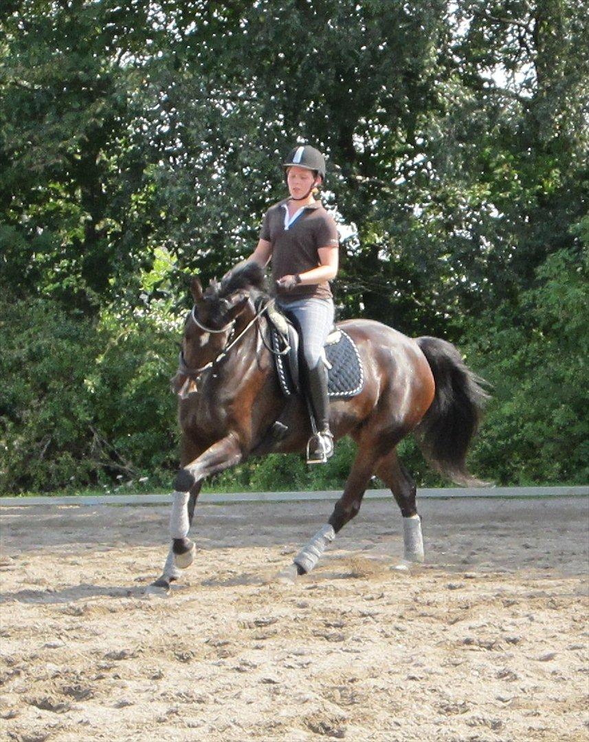 Little Lady, undervisning hos Dennis Holst billede 9