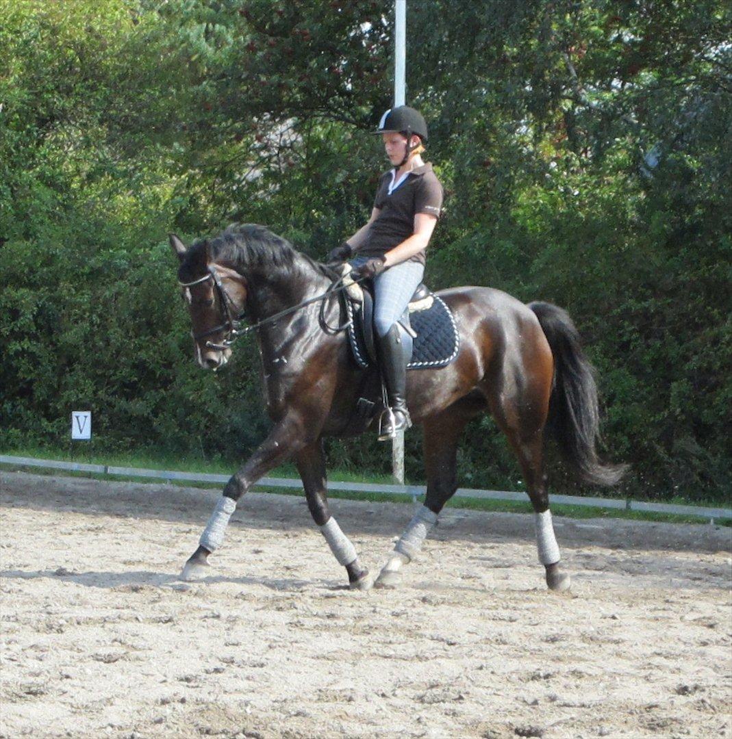 Little Lady, undervisning hos Dennis Holst billede 10