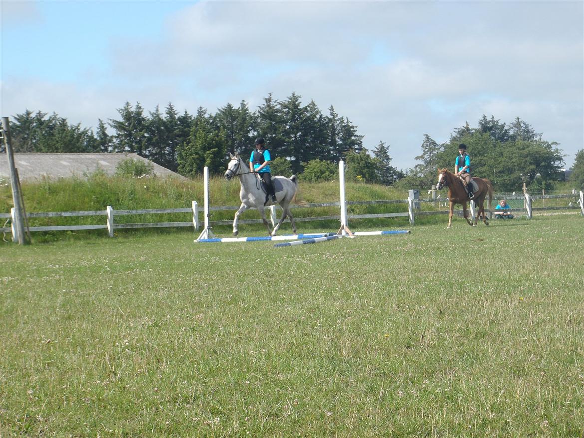 SKRK. Hyggelige tider med Skive Rideklub.  - Rytterlejr 2011 SKRK
Spring hold for nybegyndere :) billede 56